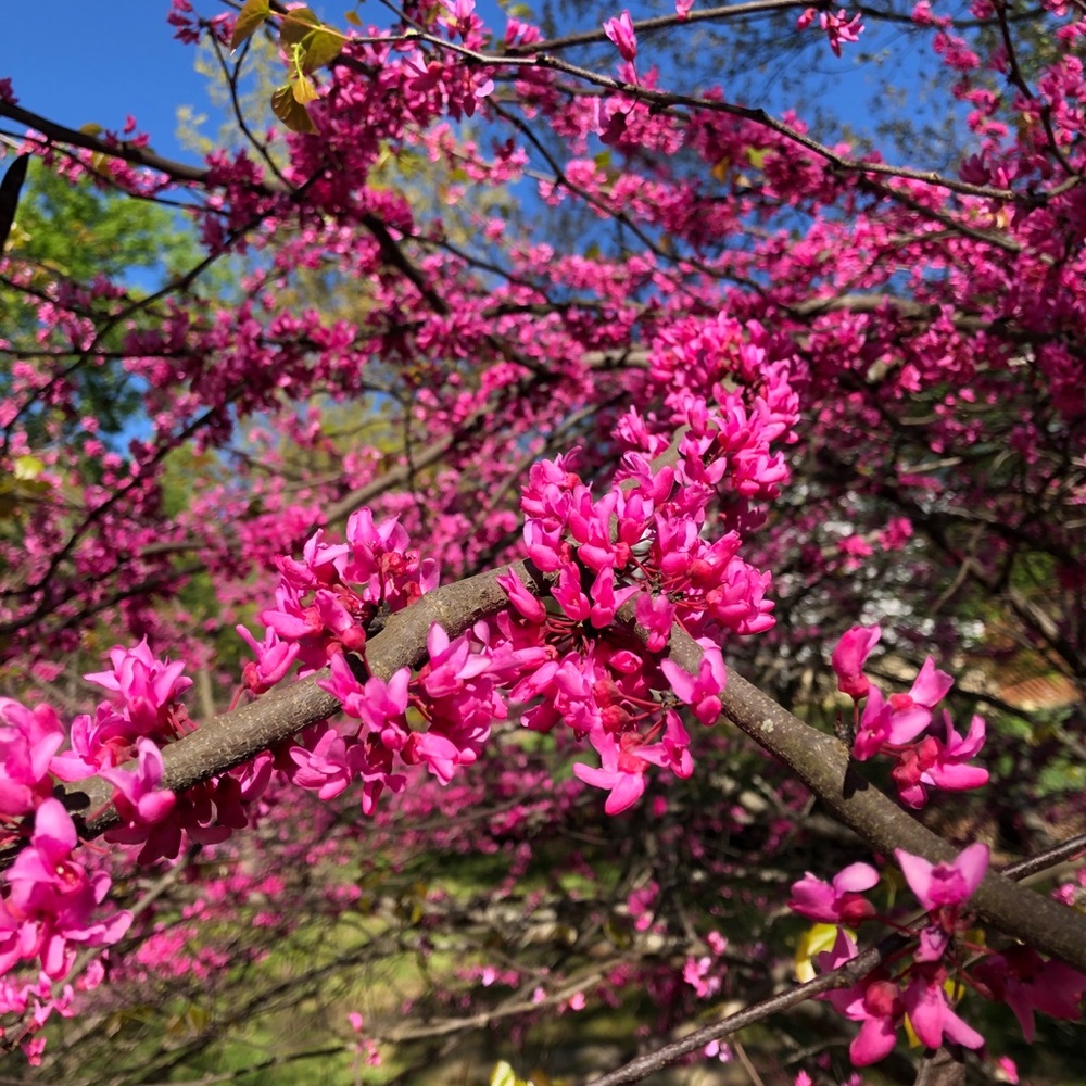 Meet your Posher, Sandy